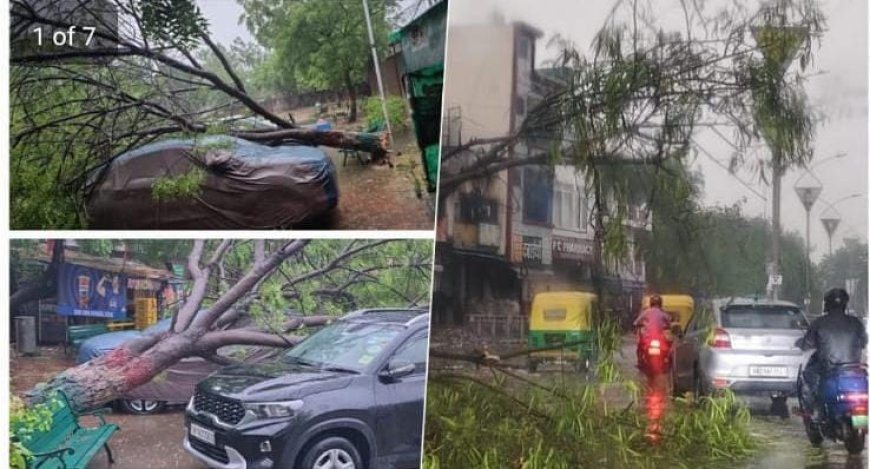 Delhi NCR Rain: आंधी-तूफान में उखड़े पेड़, जलभराव से जाम, कई उड़ानें डायवर्ट