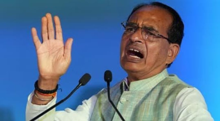 IND vs PAK: शिवराज बोले- देश में अन्न के भंडार भरे, गेहूं, दाल-चावल, फल-सब्जियों का पर्याप्त स्टॉक
