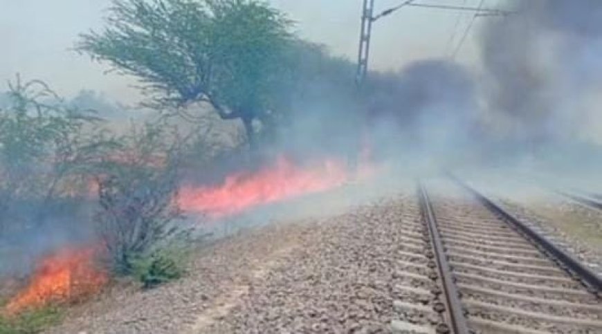 Raebareli News: रेलवे ट्रैक के पास लगी आग से मचा हड़कंप, कई ट्रेनें पौन घंटे रुकीं