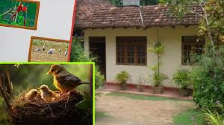 घर की इस दिशा में पक्षियों की तस्वीर लगाने से क्या होता है? जानिए वास्तु शास्त्र के अनुसार!