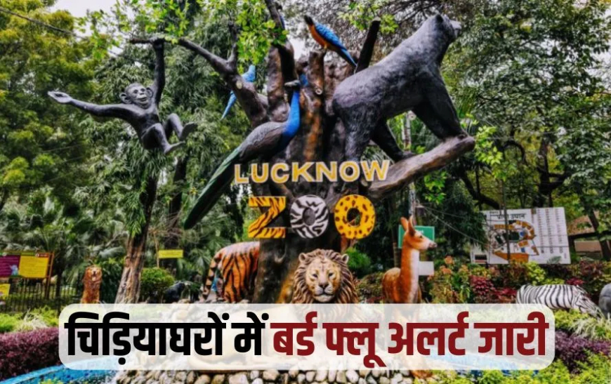 लखनऊ चिड़ियाघर में बर्ड फ्लू का अलर्ट, एहतियातन 7 दिन के लिए बंद