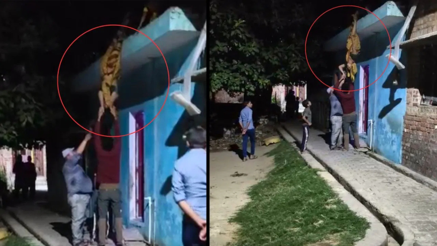 पहले बेरहमी से पीटा, फिर पति ने छत से पत्नी को उल्टा लटकाया; कैसे जान बची?