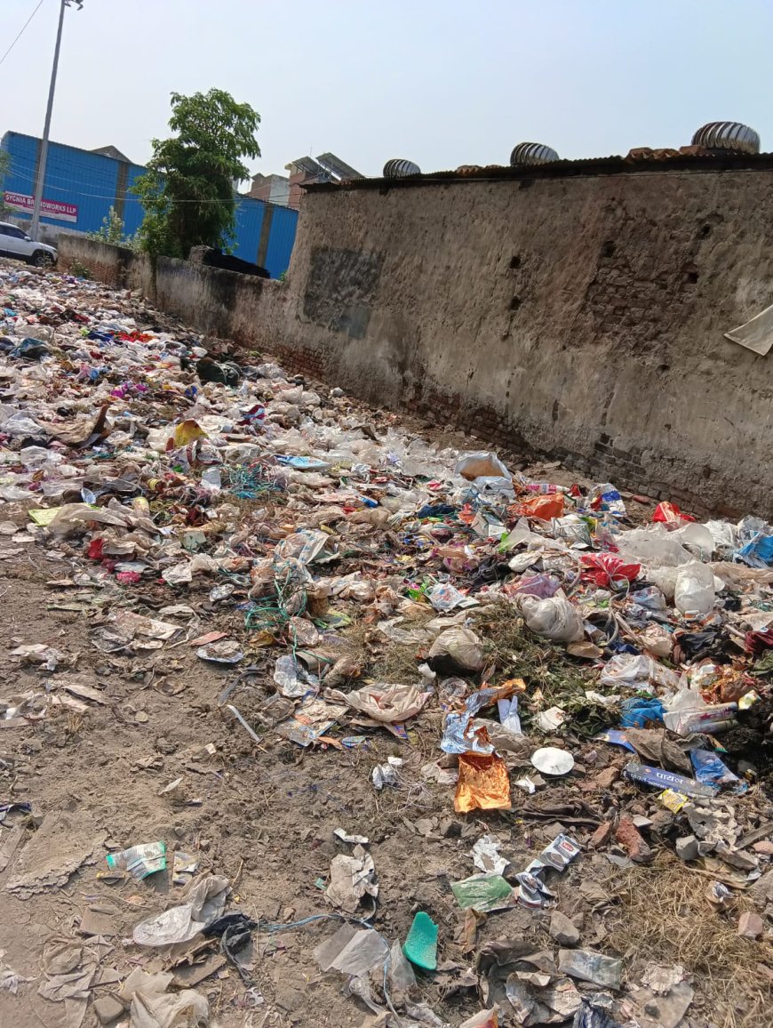 वाराणसी: चांदपुर औद्योगिक क्षेत्र में गंदगी का अंबार, पार्षद के खिलाफ फूटा लोगों का गुस्सा