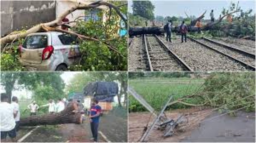 लखीमपुर खीरी में कुदरत का कहर: आंधी ने ली पिता-पुत्री समेत तीन की जान, चारों तरफ तबाही