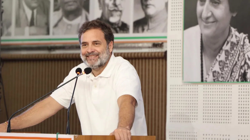 राहुल गांधी का MP कांग्रेस नेताओं को सख्त संदेश, 'रेस का घोड़ा रेस में, बारात का घोड़ा बारात में'
