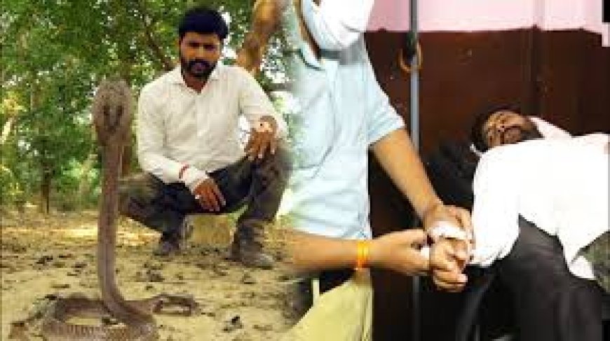 Jaunpur News : कोबरा के डसने से यूट्यूबर 'मुरली वाले हौसला' गंभीर, अस्पताल में भर्ती
