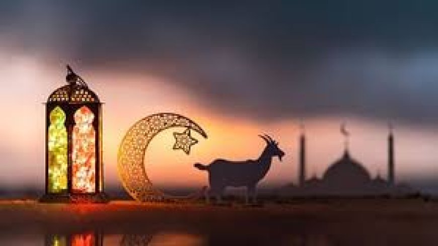 Bakrid 2025 : काशी में अलर्ट, प्रतिबंधित पशुओं की कुर्बानी पर रोक, हर गतिविधि पर रहेगी कैमरों की नजर