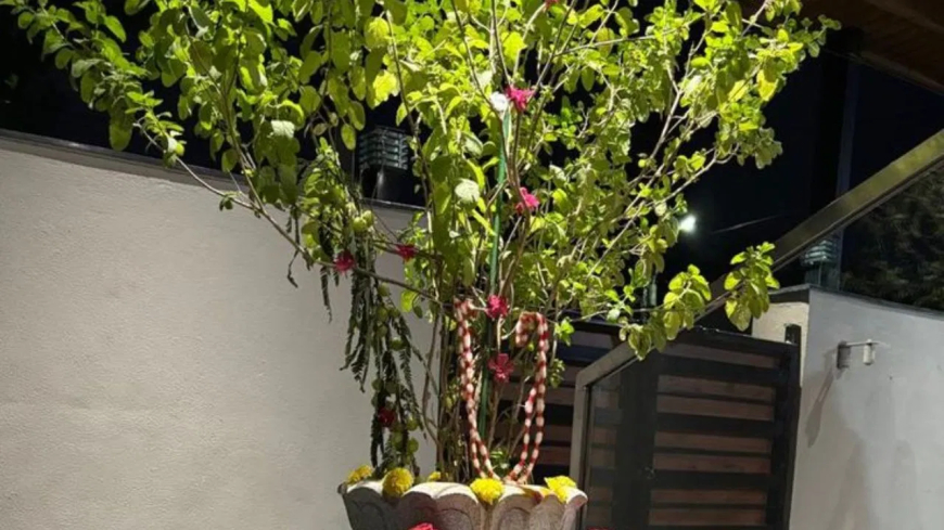 सावन में तुलसी पूजा का महत्व: हर रोज ऐसे करें उपासना, सोने-सी चमकेगी किस्मत!