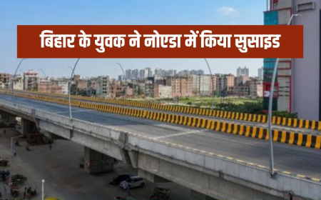 नोएडा भंगेल एलिवेटेड रोड सुसाइड: नौकरी छूटने से परेशान सिक्योरिटी गार्ड ने लगाई छलांग, पोस्टमार्टम रिपोर्ट में खुला 'शराब के नशे' का राज