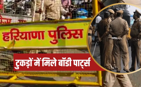 गुरुग्राम बच्ची की बलि: 'एक पैर-धड़ गायब, काट दिए गए थे सिर के बाल…', KMP एक्सप्रेसवे के किनारे मिले बॉडी पार्ट्स; तंत्र-मंत्र से हत्या की आशंका