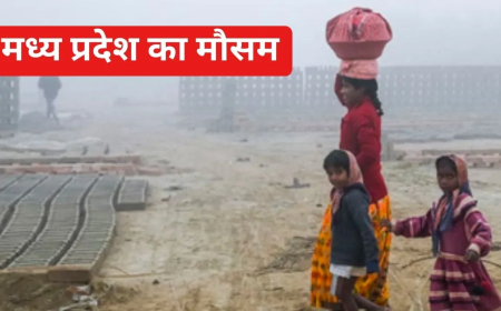 मध्यप्रदेश कड़ाके की ठंड तापमान: 84 साल का रिकॉर्ड टूटा, राजगढ़ में पारा 5.2°C; 20 से अधिक जिलों में शीतलहर का अलर्ट