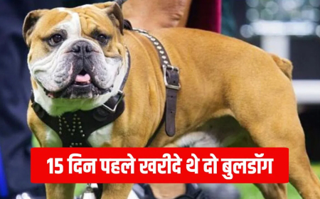 मुजफ्फरपुर बुलडॉग हमला: 4 साल की मासूम बच्ची पर पालतू बुलडॉग ने किया जानलेवा हमला, बालों सहित नोंच ली सिर की चमड़ी; इलाज के दौरान हुई मौत