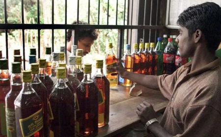 राजस्थान हाईवे किनारे शराब ठेके हटेंगे: HC ने सरकार को लगाई फटकार, 'बना डाला शराब फ्रेंडली कॉरिडोर'; 1102 ठेकों को 2 महीने में हटाने का आदेश