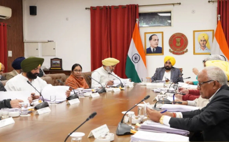 पंजाब कैबिनेट हेल्थ प्लान: बेहतर स्वास्थ्य सेवाओं पर जोर, 12 श्रेणियों के 300 स्पेशलिस्ट डॉक्टरों को सूचीबद्ध करने की मंजूरी