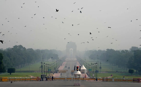 दिल्ली प्रदूषण AQI सुधार: दिल्ली को दमघोंटू हवा से मिली हल्की राहत, AQI 400 से गिरकर 270 पर आया; 37 इलाकों में ऑरेंज-रेड अलर्ट जारी