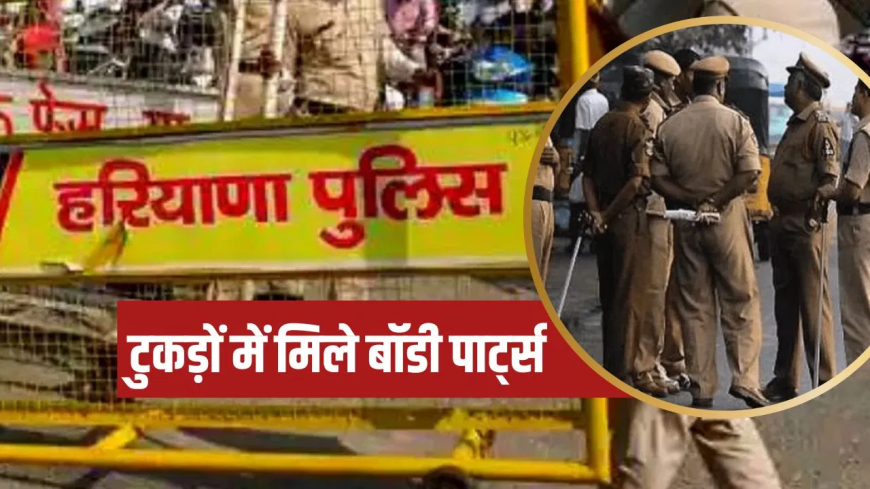 गुरुग्राम बच्ची की बलि: 'एक पैर-धड़ गायब, काट दिए गए थे सिर के बाल…', KMP एक्सप्रेसवे के किनारे मिले बॉडी पार्ट्स; तंत्र-मंत्र से हत्या की आशंका