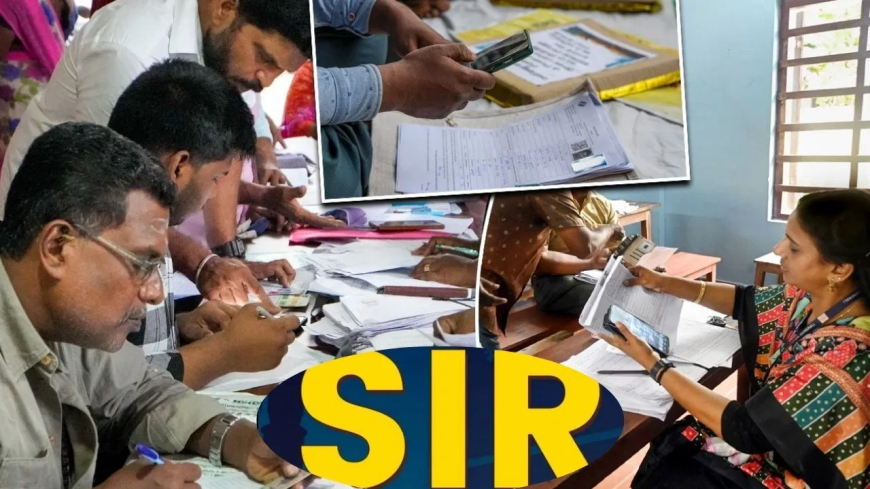 SIR 2003 लिस्ट में नाम नहीं: घबराएं नहीं! मतदाता सूची में नाम शामिल करने के लिए ऐसे भरें फॉर्म, जानें 'लिंक' करने का सही तरीका