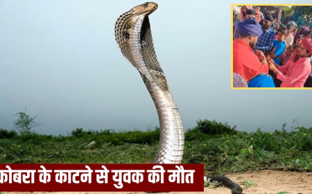 सहारनपुर कोबरा काटने से मौत: ‘खुद को सांप से कटवाओ, तब…’, YouTuber ने बीन बजाने वाले पर डाला दबाव; कोबरा के डसने से युवक की मौत
