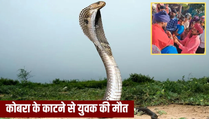 सहारनपुर कोबरा काटने से मौत: ‘खुद को सांप से कटवाओ, तब…’, YouTuber ने बीन बजाने वाले पर डाला दबाव; कोबरा के डसने से युवक की मौत