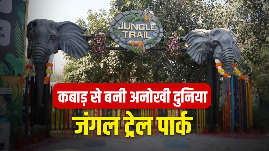 नोएडा जंगल ट्रेल पार्क स्क्रैप कला: 400 टन स्क्रैप, 650 जानवर और 6 जोन… कचरे से बने नोएडा के ‘जंगल ट्रेल पार्क’ में और भी है बहुत कुछ