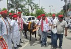 वाराणसी में सपा का अनोखा प्रदर्शन, ‘गौमाता’ को राष्ट्रीय पशु घोषित करने की उठाई मांग