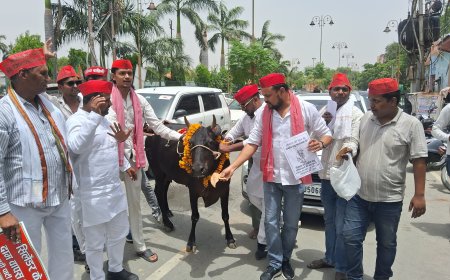 वाराणसी में सपा का अनोखा प्रदर्शन, ‘गौमाता’ को राष्ट्रीय पशु घोषित करने की उठाई मांग