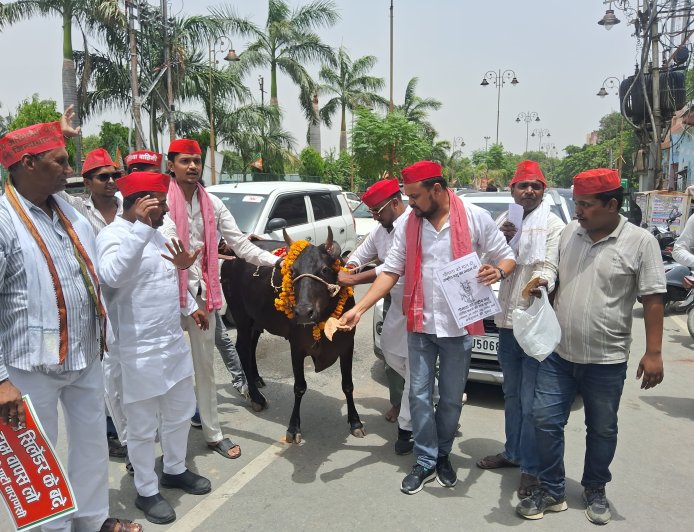 वाराणसी में सपा का अनोखा प्रदर्शन, ‘गौमाता’ को राष्ट्रीय पशु घोषित करने की उठाई मांग